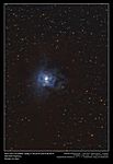 NGC 7023 Iris-Nebel