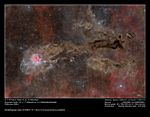 IC 5246 Kokon-Nebel